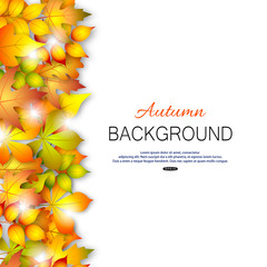 Autumn background with fall leaves and sunlights. Template for sale banner or greeting card. Vector illustration