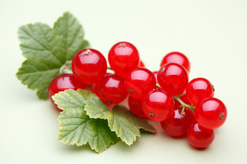 Red currant fruit with leaves