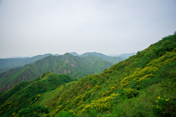 Fototapeta na wymiar chinese great wall beijing landscape