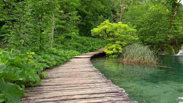 Walking on the boardwalk in the park. Camera moving on wooden boardwalk in summer park with lake and green trees. Steadicam, 4K