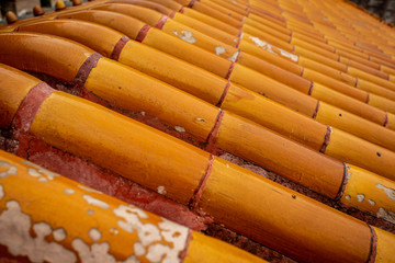 red roof tiles in forbidden city palace