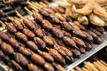 chinese street food market harbin