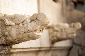 temple of heaven marble dragon head