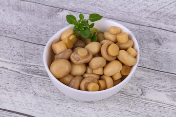 Pickled champignon heap in the bowl