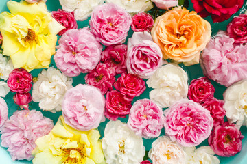 Awesome floral texture of colorful roses in water on blue background