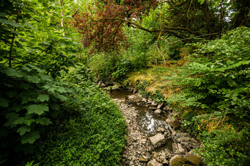 Rocky stream bed at Farnham Estate, County Cavan, Ireland