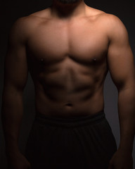 Perfect male torso with defined chest,abdominal and arm muscles. Fitness, workout and training concept.