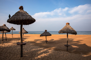 Straw umbrellas on the tropical sand beach of Mount Lavinia, Sri Lanka.