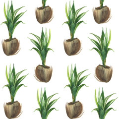 Watercolor seamless tropical pattern of half-coconuts with palm tree sprouts on a white background. For compositions on the theme of the sun, summer, festive mood.