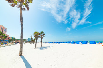 Wit zand en palmbomen op het strand van Clearwater