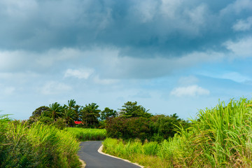 Fototapeta na wymiar Overcast sky over a contry road in Guadeloupe
