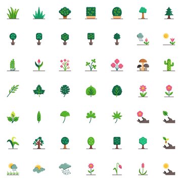 Nature plants elements collection, Leaves flat icons set, Colorful symbols pack contains - potted flowers, exotic tropical tree leaves, grass, bush, shrub. Vector illustration. Flat style design