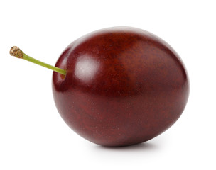 Plum on white background