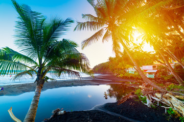 Sun shining over Grande Anse shore in Guadeloupe