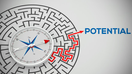 Kompass in Labyrinth führt zum Schriftzug Potential