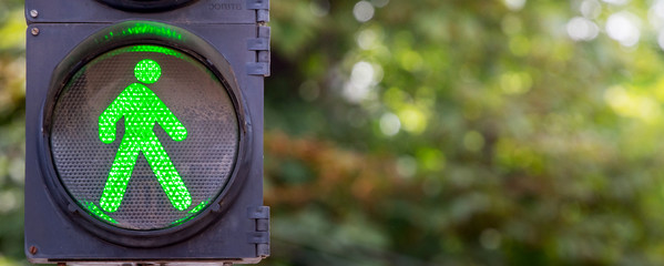 Traffic light with green light on the background of trees_ - Powered by Adobe