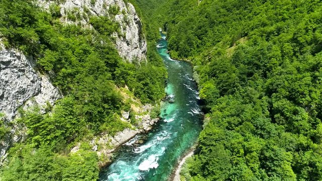 Flying over canyon with green trees and mountain river with turquoise water. Aerial drone shot, 4K