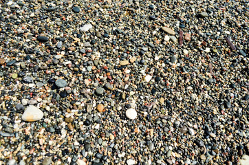 pebbles on the beach