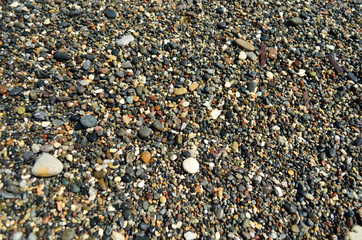 pebbles on the beach