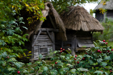 Fototapeta na wymiar Traditional slavic house with thatch in the ethnographic park in Ukraine