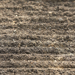 Soil, cultivated dirt, earth, ground, brown land background. Organic gardening, agriculture. Nature closeup. Environmental texture, pattern.