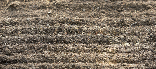 Soil prepared for planting in the spring close-up. Background in blur.