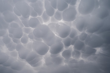 Mammatus cloudscape