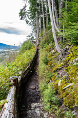 Obraz premium Hike/hiking trail uphill through mountain with wooden fencing for safety on the Rainbird Trail in Ketchikan, Alaska. Tall trees and lush green foliage along the scenic path; blue sky in background.