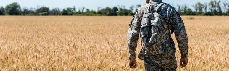 Fototapeta premium panoramic shot of military man with backpack standing in field with wheat