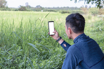Thai young farmer using a smartphone in agriculture farm. Using a technology in agriculture concept.