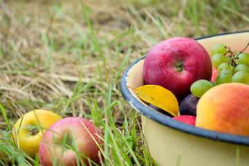 Fruits on the grass
