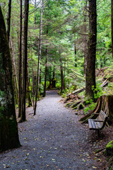 Empty foot path trail through lonely park hike in the woods with wood/wooden bench. Scenic landscape nature woodland walk setting in the mountains of Ketchikan Alaska on sunny day in the autumn season