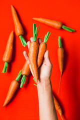 A bunch of fresh carrots in hand on red background.