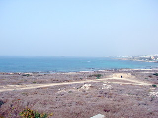 Panorama of poor vegetation on the coastal saline lands on the background of a blue sea that merges...