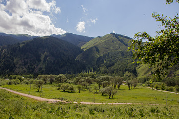 Mountains near the city of Almaty, Kazakhstan. Summer in the mountains, Kaskelen Gorge