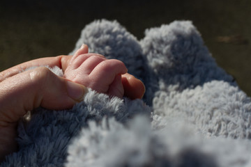 Baby holding mothers hand seen from above