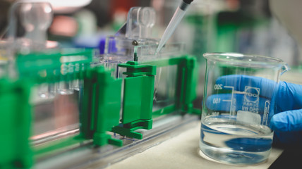 scientist in laboratory