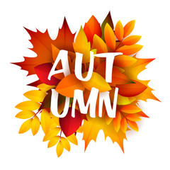 Autumn leaflet design with bunch of leaves. Handwritten text and orange and yellow fall foliage. Vector illustration can be used for banners, brochures, greeting cards