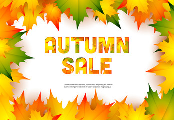 Autumn sale retail banner design with fall maple leaves. Text in frame and yellow, orange and green foliage isolated on white. Vector illustration can be used for flyers, posters, ads, promo