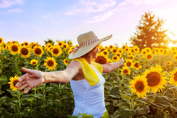 Senior woman walking in blooming sunflower field feeling free and admiring view. Summer vacation