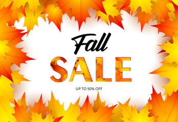Fall sale retail banner design with maple leaves. Text in frame and autumn foliage isolated on white. Vector illustration can be used for flyers, posters, ads, promo