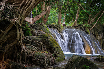 Fototapeta premium Waterfalls in the forest are cool, refreshing, beautiful environment.
