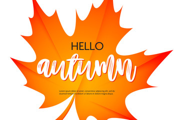Hello autumn poster design with text sample. Handwritten text on fall maple orange leaf isolated on white background. Vector illustration can be used for banners, brochures, greeting cards
