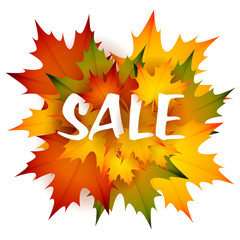 Sale seasonal leaflet design with heap of leaves. Text with orange, green and yellow fall maple foliage. Vector illustration can be used for banners, posters, ads, promo