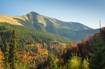 Mountain Landscape - Transilvania, Romania, Freedom, Hiking.