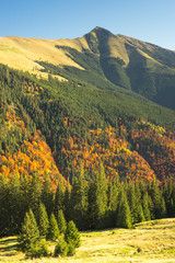 Obraz premium Mountain Landscape - Transilvania, Romania, Freedom, Hiking.