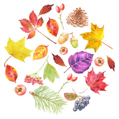 Watercolor hand drawn autumn elements set on white background. Autumn colors leaves, berries, harvest