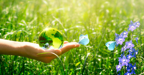 Earth crystal glass globe and butterfly with blue wings in human hand on grass and bluebell flowers...