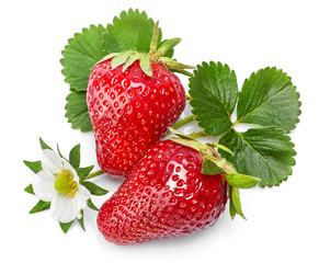 Strawberries with green leaf and flowers, isolated on white background.