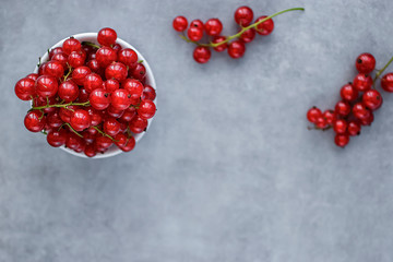 Fresh red currants in a white bowl on a gray background. Top view.